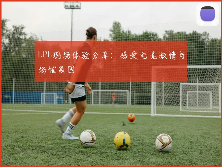 LPL现场体验分享：感受电竞激情与场馆氛围